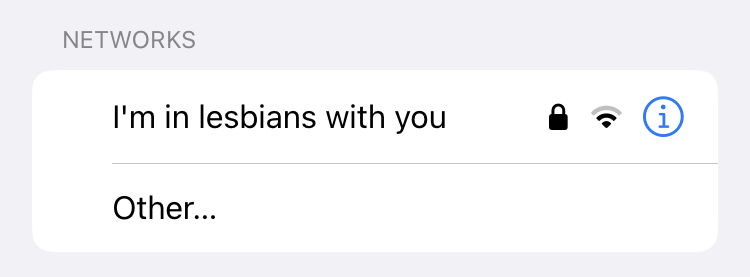 Screenshot of the wifi name 'I'm in lesbians with you'.